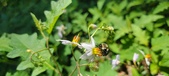 Enlarge photo 117