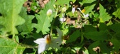Enlarge photo 118