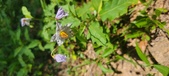 Enlarge photo 120