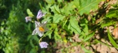 Enlarge photo 121