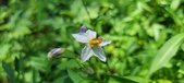 Enlarge photo 122