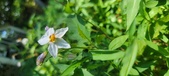 Enlarge photo 123