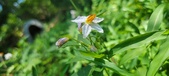 Enlarge photo 124