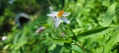Enlarge photo 125