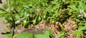 Enlarge photo 127