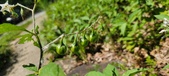 Enlarge photo 128