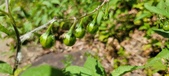 Enlarge photo 129