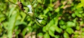 Enlarge photo 135