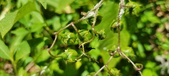 Enlarge photo 138
