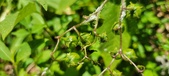 Enlarge photo 139
