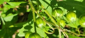 Enlarge photo 143