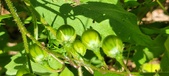 Enlarge photo 144