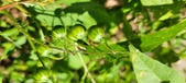 Enlarge photo 149