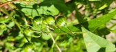 Enlarge photo 150