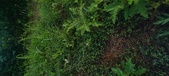 Enlarge photo 240
