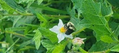 Enlarge photo 238