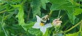 Enlarge photo 236