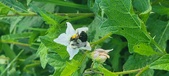 Enlarge photo 233