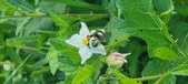 Enlarge photo 234