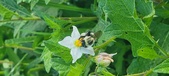 Enlarge photo 235