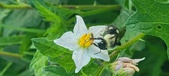 Enlarge photo 231