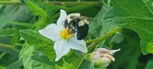 Enlarge photo 229