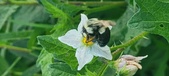 Enlarge photo 228