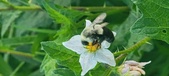 Enlarge photo 224