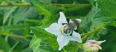 Enlarge photo 225