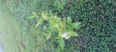Enlarge photo 226
