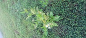 Enlarge photo 227