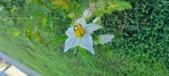 Enlarge photo 223