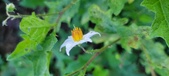Enlarge photo 218