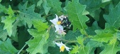 Enlarge photo 214