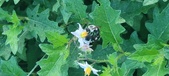 Enlarge photo 213