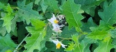 Enlarge photo 212