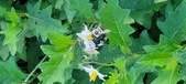 Enlarge photo 208