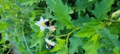 Enlarge photo 206