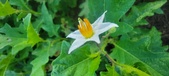 Enlarge photo 203