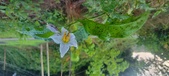 Enlarge photo 193