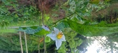 Enlarge photo 194