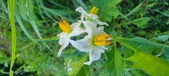 Enlarge photo 187