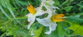 Enlarge photo 186