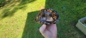 Enlarge photo 12