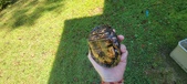 Enlarge photo 14