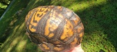 Enlarge photo 23