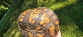 Enlarge photo 29
