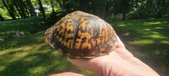 Enlarge photo 32