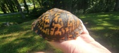 Enlarge photo 31
