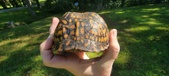Enlarge photo 37